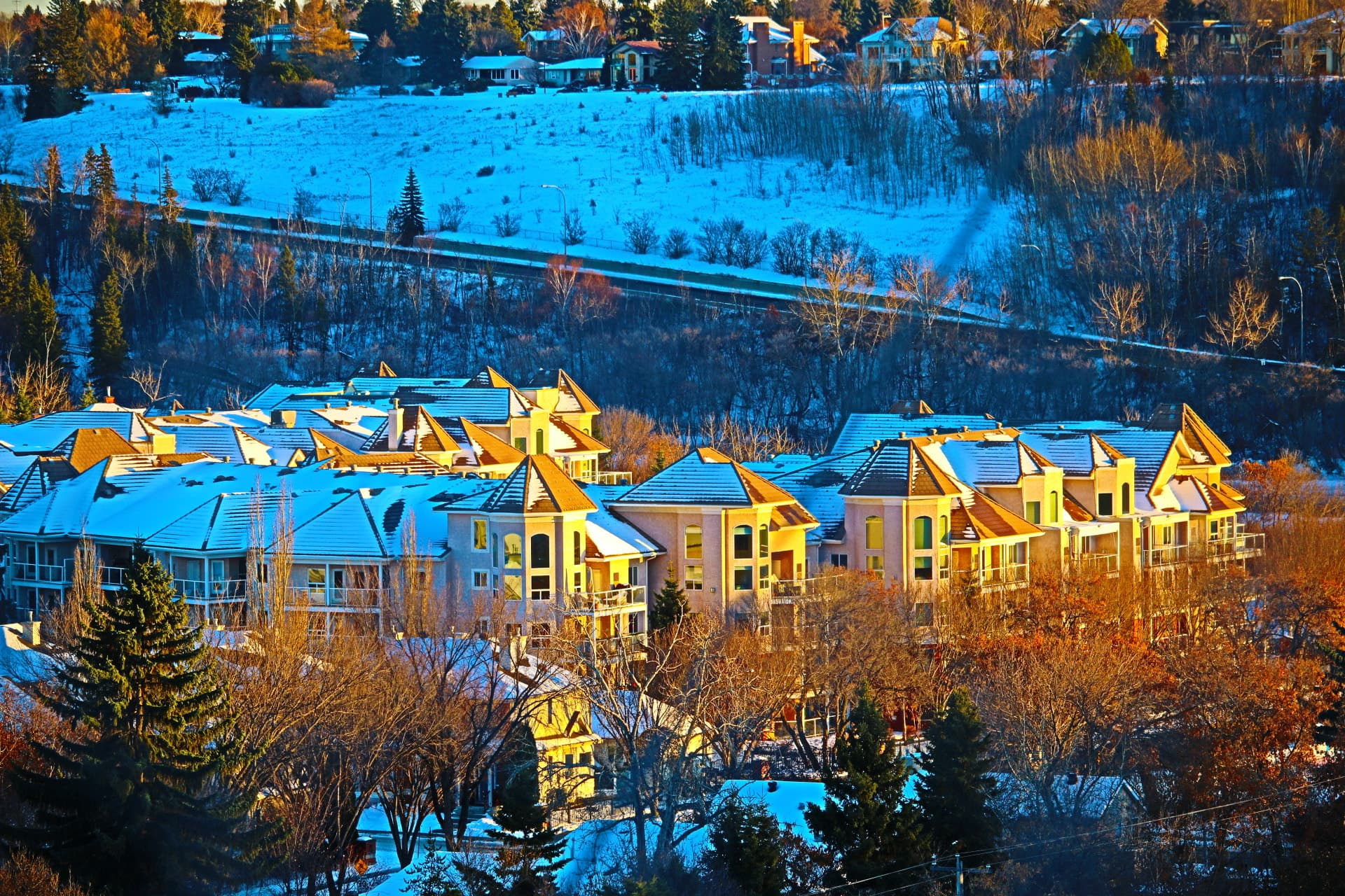Photos of Food waste recycling in Lakewood, Colorado!