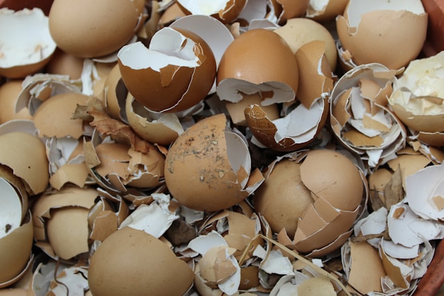 Can I compost bad eggs?