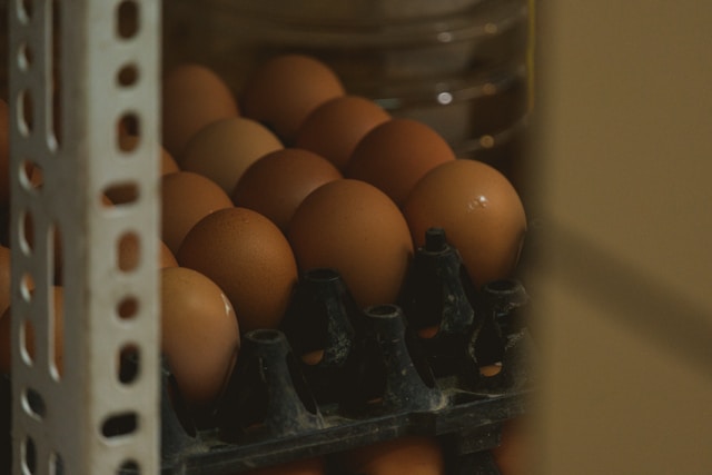 How long do eggs last in the fridge?