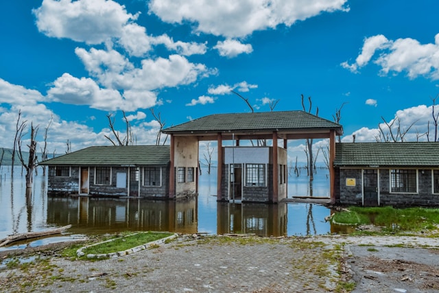 recover soil and plants by composting after floods